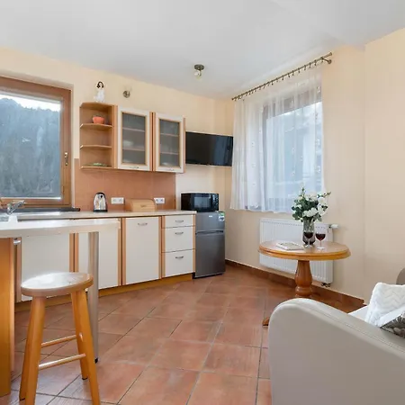 Comfortable With Parking Space By Renters Apartmán Zakopane